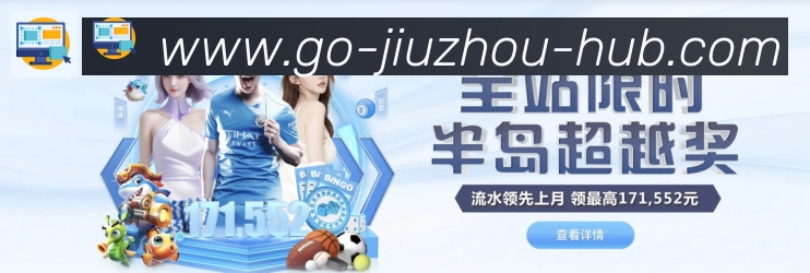 未来规划